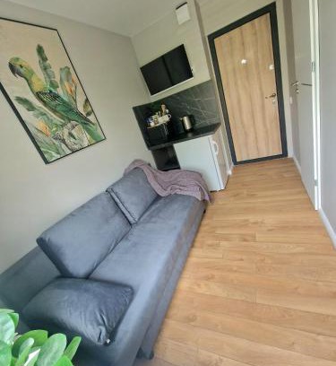 Kaunas Apartment | Miniukas