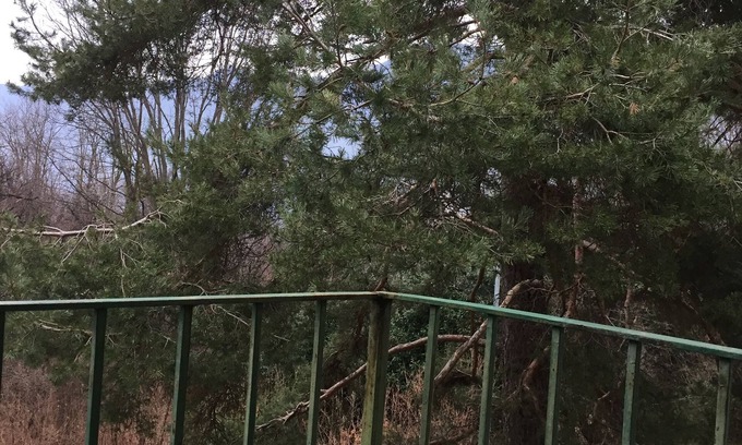 Torno Cabin | MIRELLA HUT