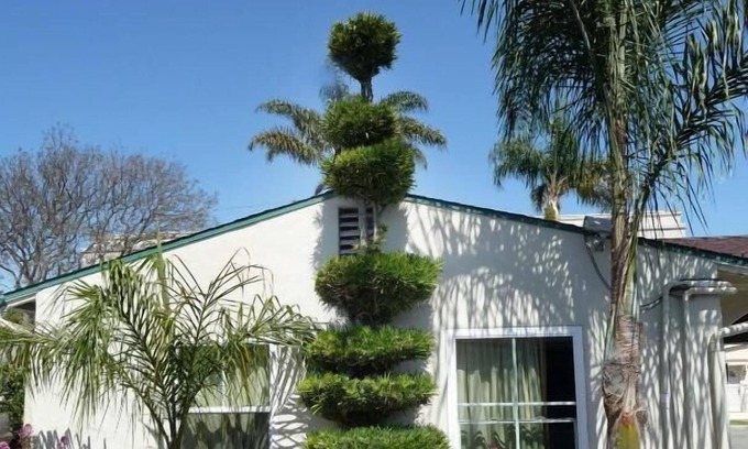 Ventura Hotel | Mission Bell Motel