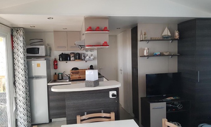 Saint-Julien-en-Born House | Mobile home 64529 TyBreizh Holidays at the Dunes of Contis 3 star excluding fun pass