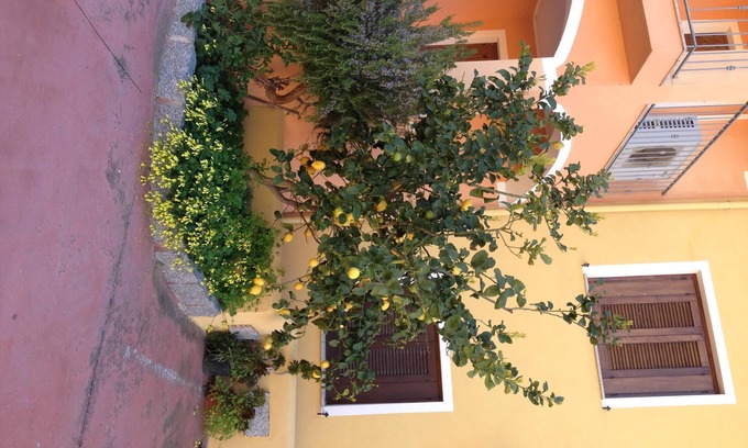 La Muddizza Apartment | Modern 1 bed Apartment Sleep 3 sea View Only 700mt From sea