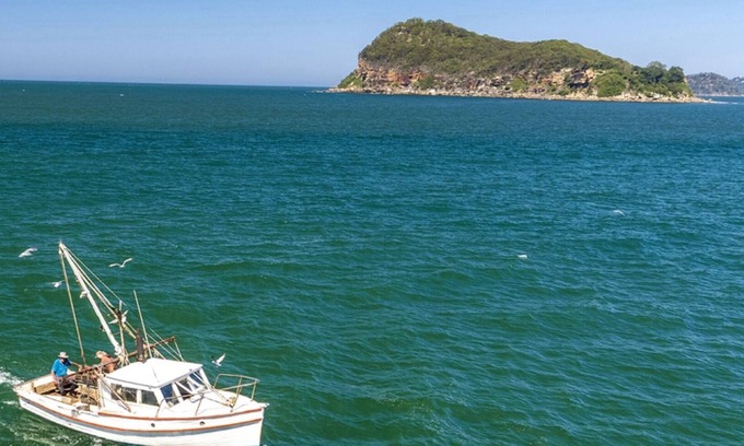 Pearl Beach House | Modern House with Panoramic Views