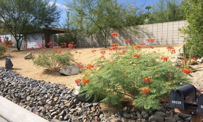 Cathedral City Cove House | Modern Zen Retreat - Best Indoor & Outdoor Living