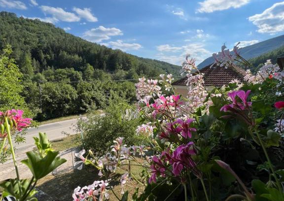 Mokra Gora Apartment | Mokra Gora Central Apartments