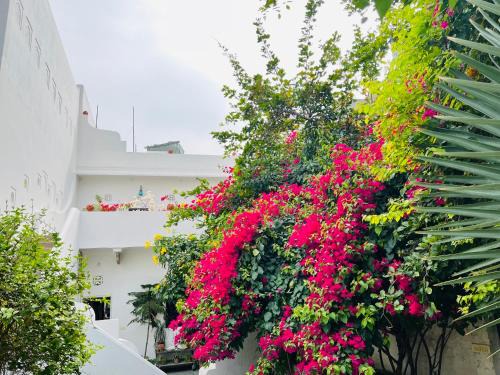 Amer House | Mosaics Guest House