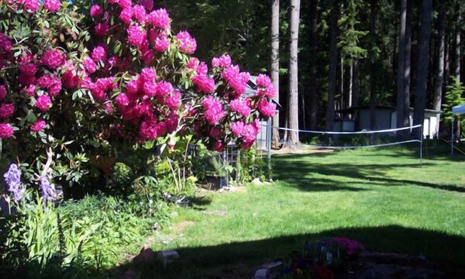 Packwood Hotel | Mountain View Lodge