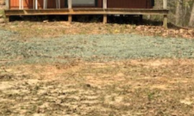 Turtle Beach Cabin | Mt. Richard - Cabin #2 - Toledo Bend - Mid Lake