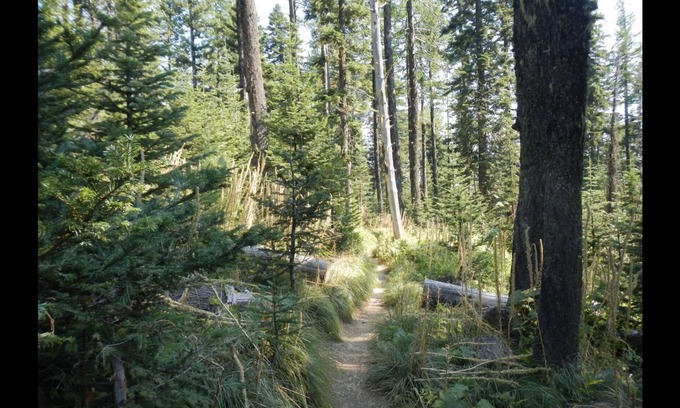 Mead Condo | MT. SPOKANE CONDO~W POOL, HOT TUB, WIFI BALCONY & AC~UPDATED STUDIO SLEEPS 4