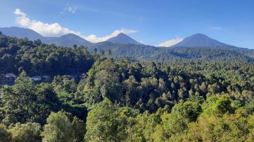 Munduk House | Munduk Twin Homestay