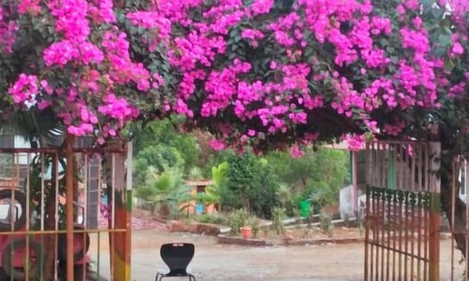 Kambare Resort | Murlee Pure Veg Resort