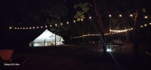 South Bend Other | Mustang Sally's Park