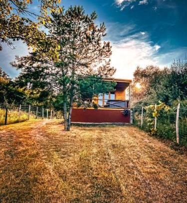 Pusztavacs House | Nature&Chill Treehouses