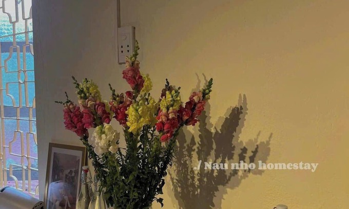 Ngo Quyen Apartment | Nau Nho Homestay