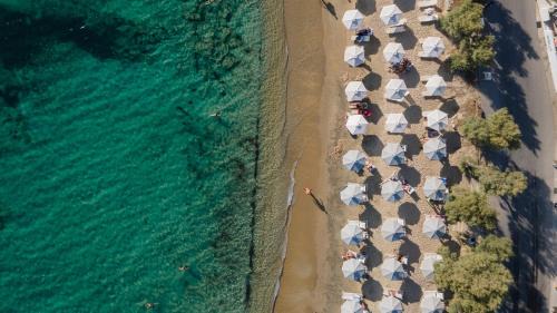 Agia Anna Apartment | Naxian Soul