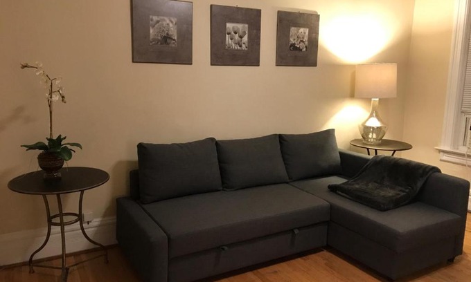 Ranch Triangle Apartment | NEW! 3 BEDROOM LINCOLN PARK HOME *FREE* PARKING