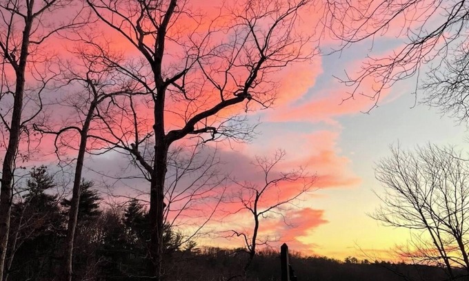 Tate House | New Guest suite located in Jasper with a mountian view and fire pit