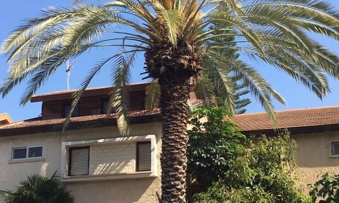 Herzliya House | New Studio near IDC in Herzelyia Center