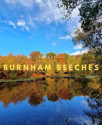 Farnham Common Apartment | NEW - Stylish 2 bed, Farnham Common