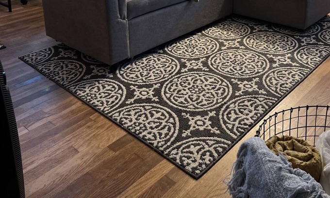 Owensboro Apartment | *NEW* The Wine Down - 1BED/1 BATH-DUPLEX APT- FULL KITCHEN - PETS WELCOME!