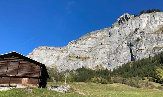 Flims Apartment | Newly refurbished flat in the heart of Flims