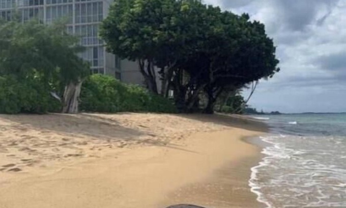 Punaluu Condo | Newly renovated, oceanfront, AC, beautiful views, steps to secluded beach