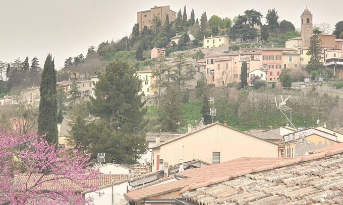 Bertinoro Apartment | Nice apartment with independent entrance at the foot of Bertinoro