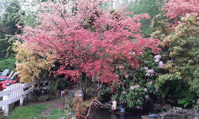 Ban-de-Sapt Apartment | Nice studio