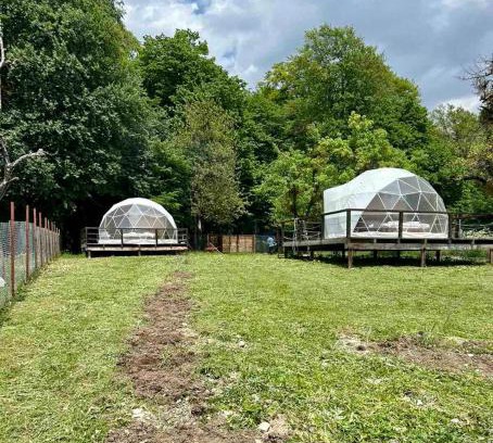 Ambrolauri Other | Nikorstminda glamping - Batoni's forest
