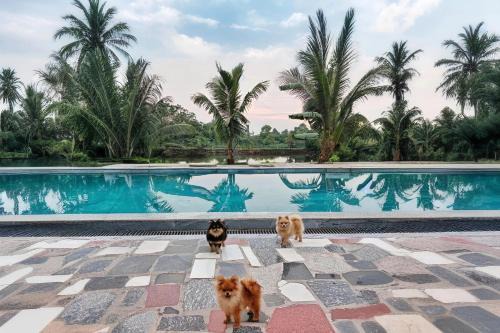 Hoa Lu House | Ninh Binh Peaceful Retreat