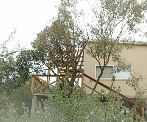 Rocha House | Nio de Baixo