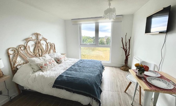 Valdivia Apartment | Nuevo y Cómodo depto tipo Estudio