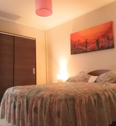Parana Apartment | Nuez de la Isla "Centro Apart" en MICROCENTRO Depto con un dormitorio