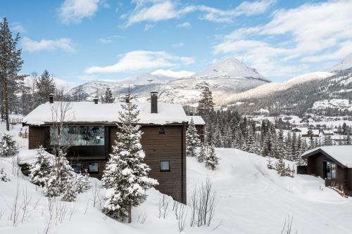 Hemsedal House | Nyørk Chalet, Hemsedal