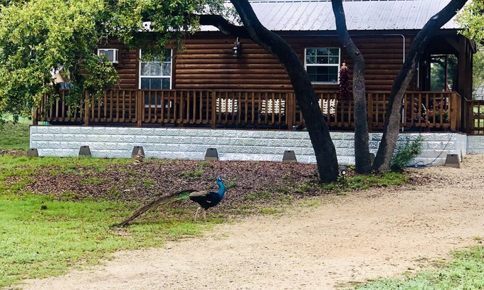 Canyon Lake Cabin | Oak Hollow Cabin at Canyon Lake