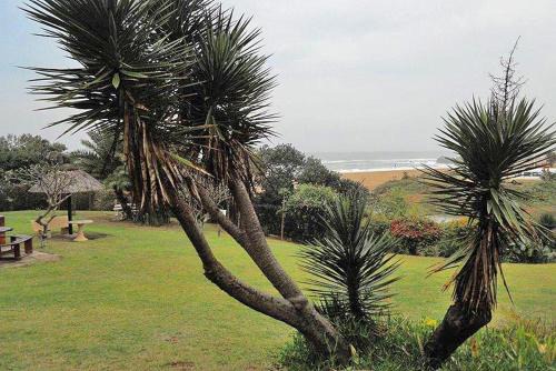 Kingsburgh Apartment | Ocean Breeze