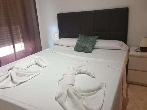 Ciutat de les Arts i les Ciencies Apartment | Oceanográfico Apartments