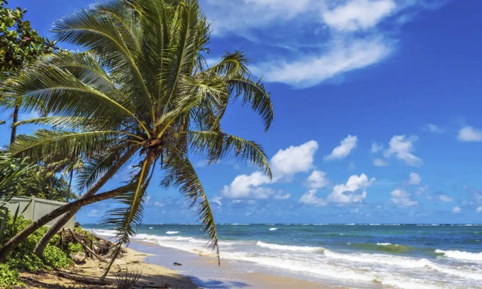 Hauula House | Oceanside Estate - Spacious home with Pool & AC