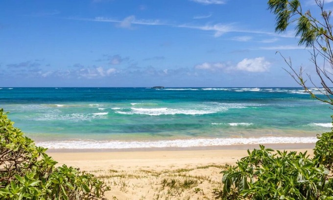 Laie House | Ohana Adventure🌺 3 Beach front properties