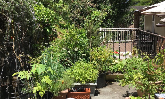 Kalihi Valley House | Ohana Home TA-174-591-3856-01 TMK 140010570000