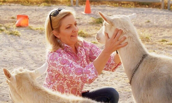 Tresco House | Olive Grove Retreat 1 by Tiny Away