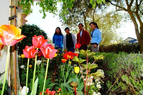 Christchurch Bed & Breakfast | Olive House Bed and Breakfast