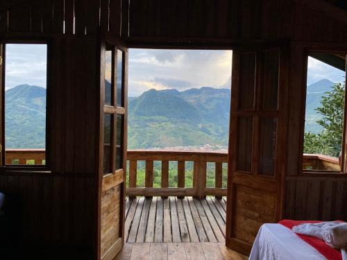 Jardin Other | Oro Verde Noche De Luna