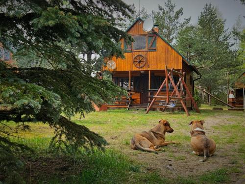 gmina Karsin House | Osada nad Wdą w Borsku