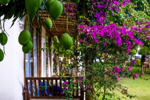 Barra Grande House | Pé na Areia