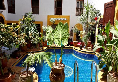 Zekkak Er Roumane House | Palais AL Firdaous