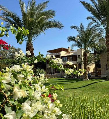 Tunis Village Hotel | palm shadow resort