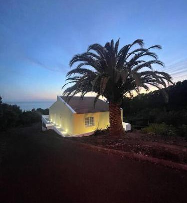 Lajes do Pico House | Palm Tree House