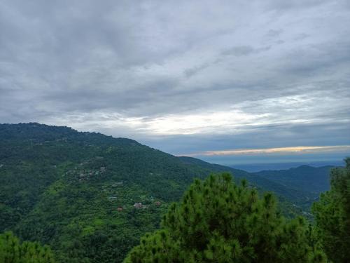 Kasauli Apartment | Palm Tree Paradise Retreat