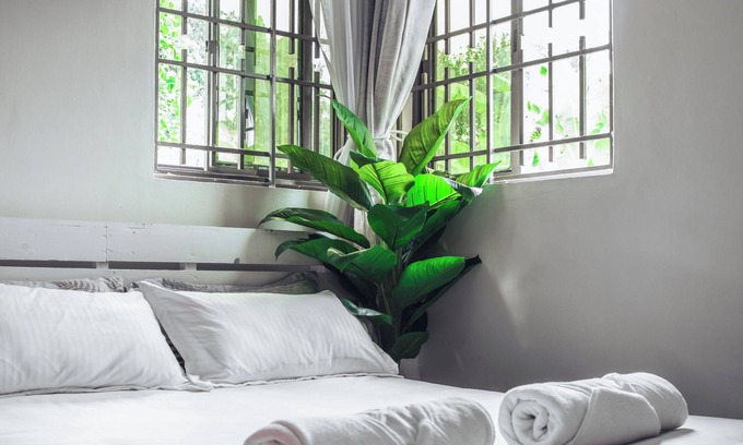 Kampala Apartment | Palm View Apartment