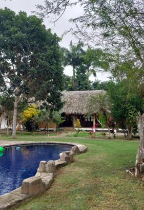 Montanita Hotel | Palms Oasis Montañita